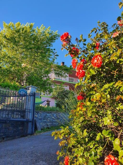 דירות Almese Fiori F - Monolocale מראה חיצוני תמונה