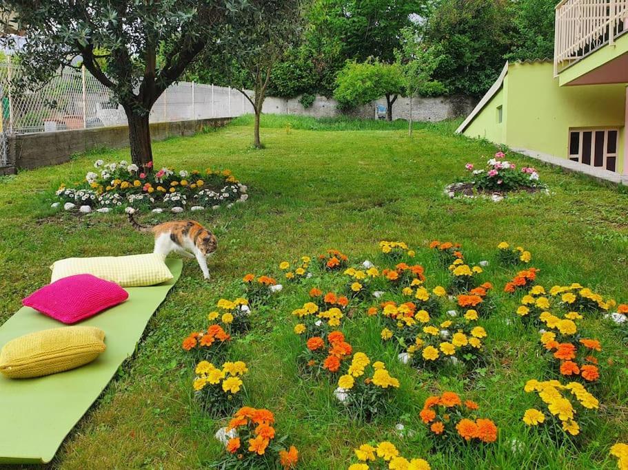 דירות Almese Fiori F - Monolocale מראה חיצוני תמונה